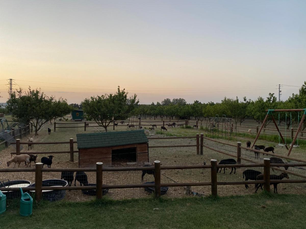 San Michele  Agriturismo San Michele מראה חיצוני תמונה