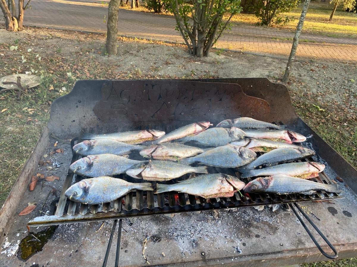 San Michele  Agriturismo San Michele מראה חיצוני תמונה