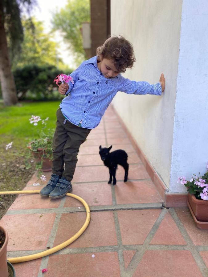 San Michele  Agriturismo San Michele מראה חיצוני תמונה